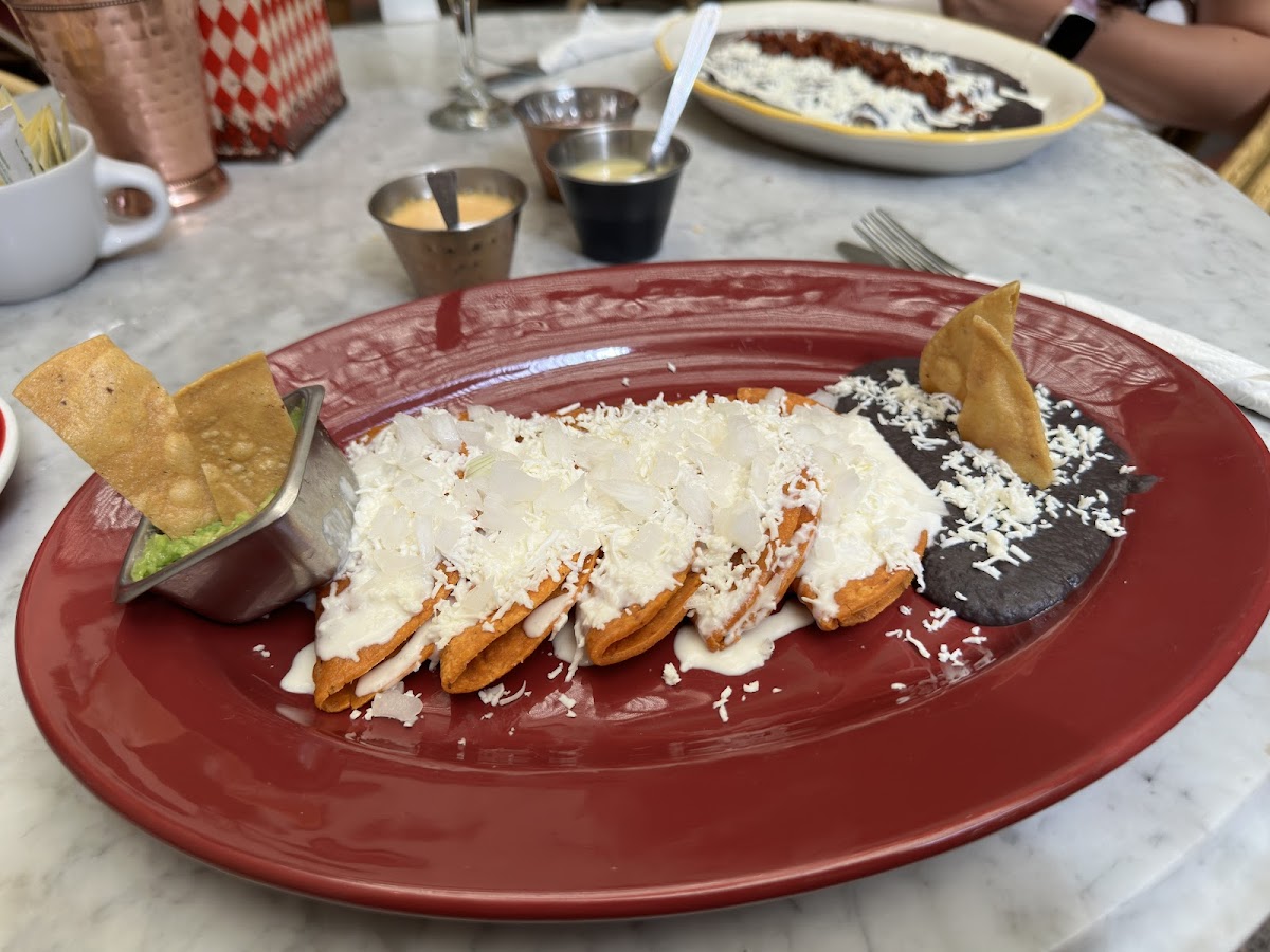 Café Bostonia Photos 2